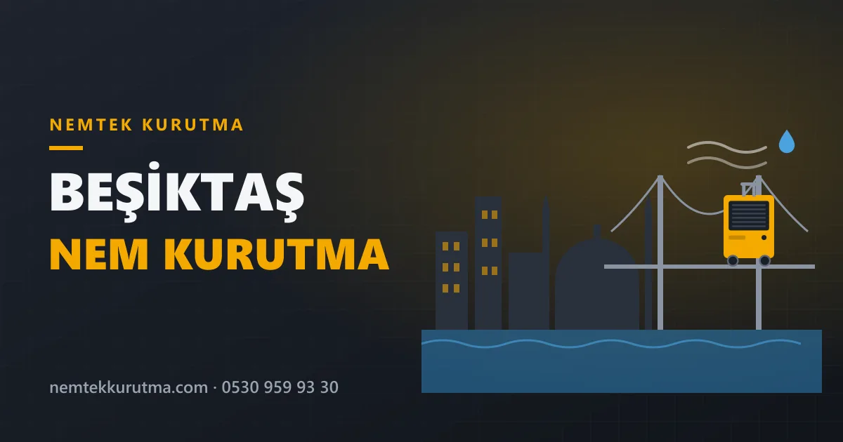 Beşiktaş nem kurutma